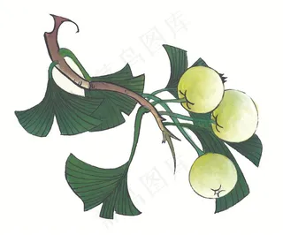 国画瓜果蔬菜鱼虾蟹设计jpg素材