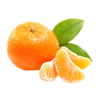 橘子 png一个橘子