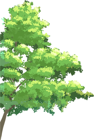 树木树枝树叶免扣素材