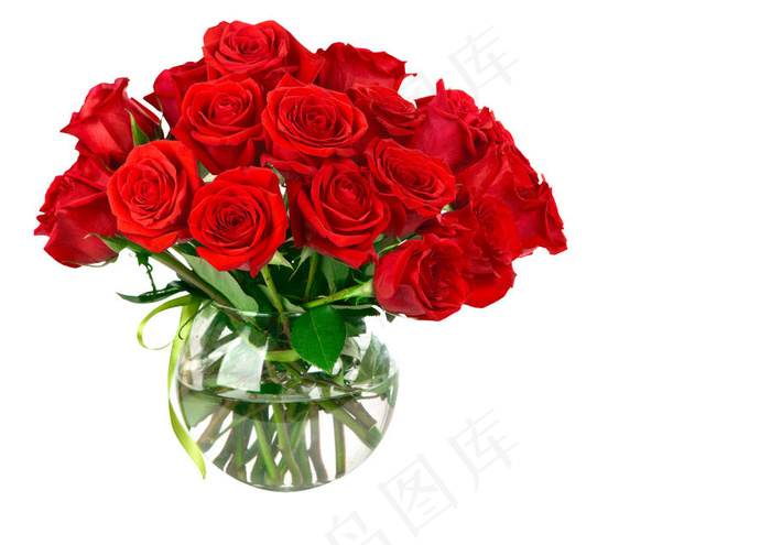 玫瑰花扣图素材