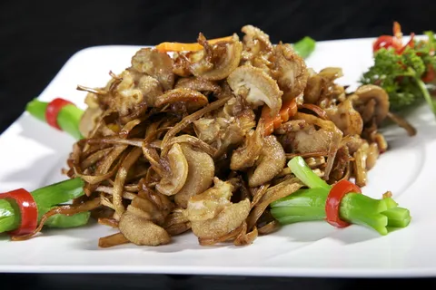 CXC00290茶树菇蜗牛 CXC00290茶树菇蜗牛