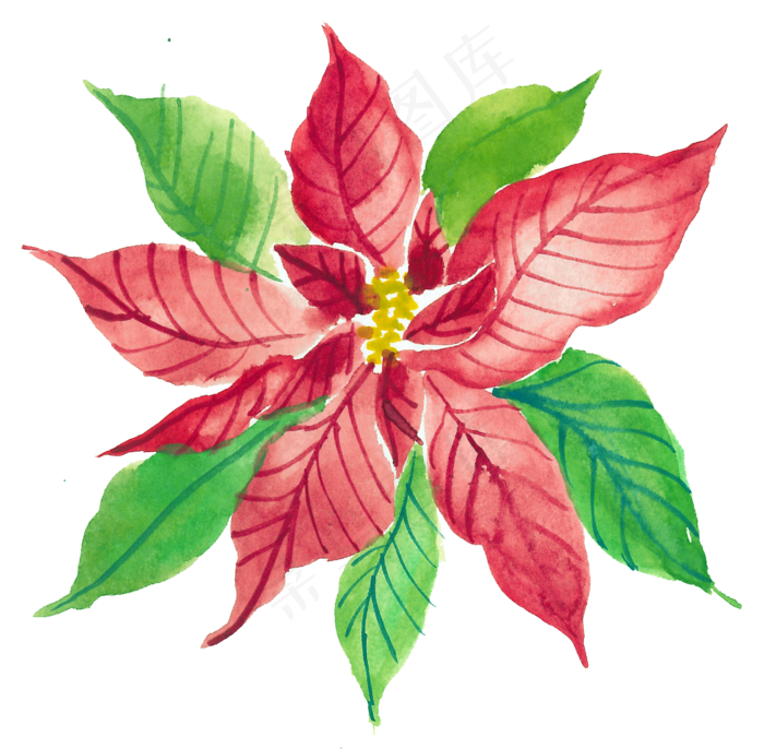 冬季圣诞节花卉果花圈植物免抠海报PNG素材