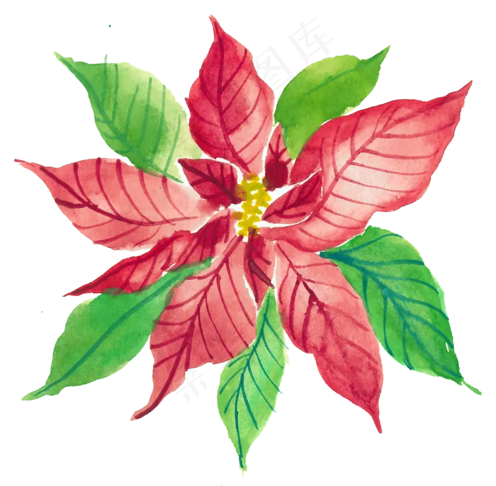冬季圣诞节花卉果花圈植物免抠海报PNG素材