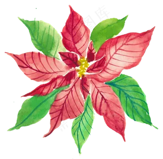 冬季圣诞节花卉果花圈植物免抠海报PNG素材