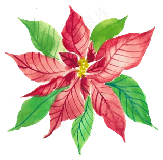 冬季圣诞节花卉果花圈植物免抠海报PNG素材