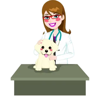 宠物医生卡通