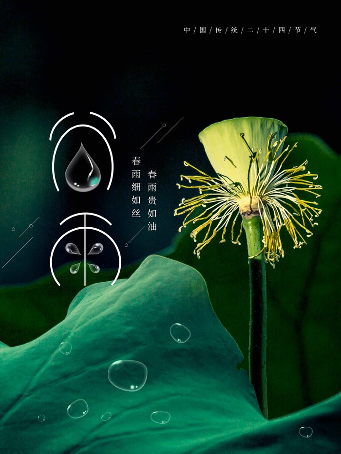 谷雨 谷雨促销海报