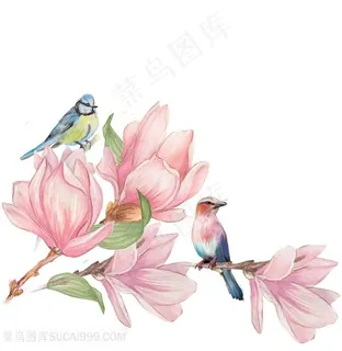 玉兰花小鸟工笔花鸟图片