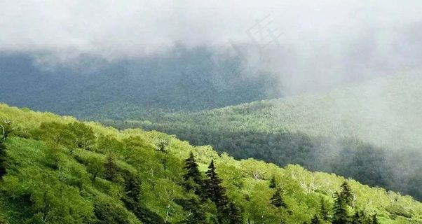 云雾缭绕的山川树林