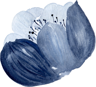 海军蓝金线水彩花卉素材