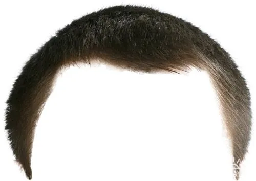 假发 PNG免抠(500x354)