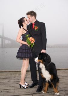 美女和帅哥接吻图片