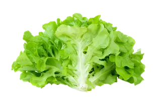 生菜 (28)超市商品白底图免抠实物摄影png格式图片透明底