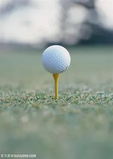 球类运动竖在草地上的高尔夫球
