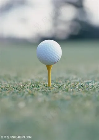 球类运动竖在草地上的高尔夫球