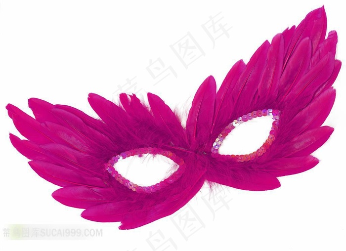 狂欢节系列 - 美丽的狂欢节面具