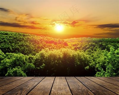 木板与黄昏森林景色图片