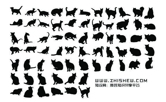 分析图素材图标集合景观建筑立面插画场景AI矢量图形设计ai矢量模版下载