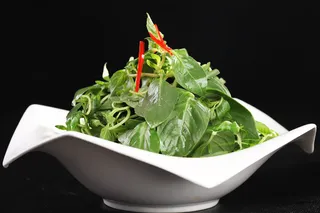 L02295大盘荆芥 (2)