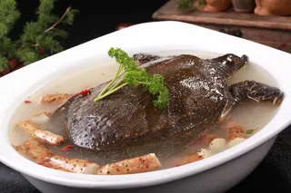 铁棍山药炖甲鱼 (2)