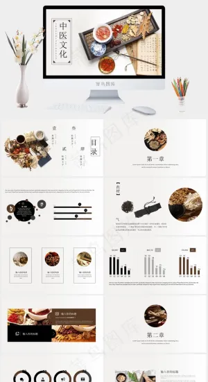 中药中医治病PPT模板ppt模版预览图