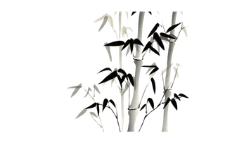 竹子水墨画中国风国画墨水书法竹子画