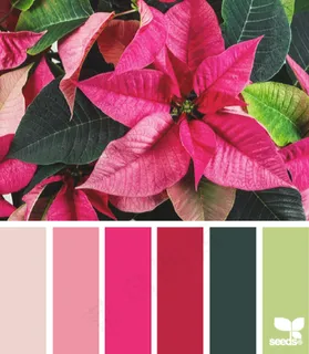 冬天系配色色卡色彩搭配