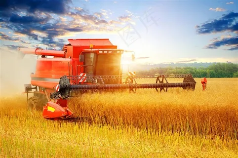 秋天丰收的图片 秋天丰收的图片