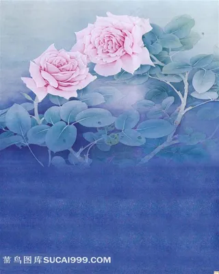 水彩牡丹花背景