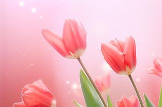 粉色清新郁金香鲜花背景