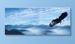 水墨山水老鹰背景墙