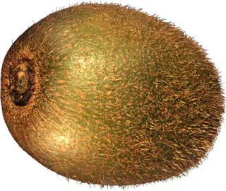 猕猴桃PNG图片，免费水果猕猴桃PNG图片下载免抠