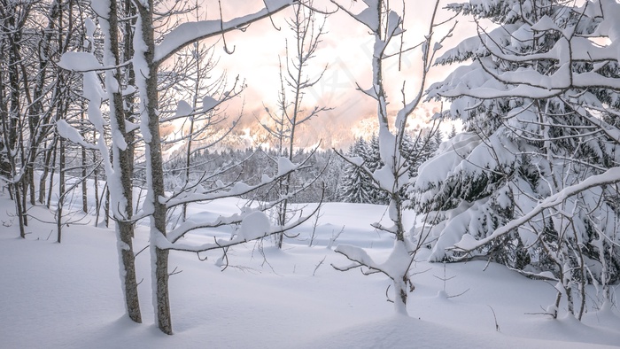 森林雪山风景图片