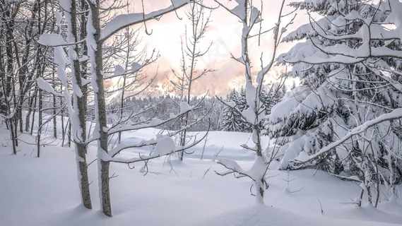 森林雪山风景图片 森林雪山风景图片