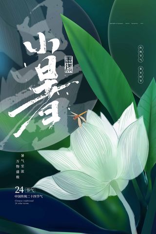 小暑传统节气海报