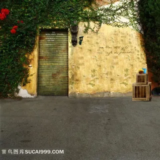 爬山虎墙面摄影背景图片