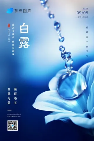 白露蓝色渐变鲜花露珠意境节气海报