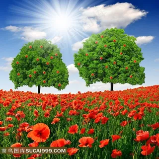 春天风景花草树木高清图片系列四 春天风景花草树木高清图片系列四