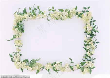 相框边框-藤蔓鲜花编成鹅花边