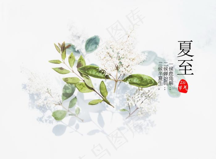 24节气夏至图片