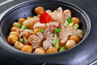 XTS007江湖菜-佛珠烩牛鞭