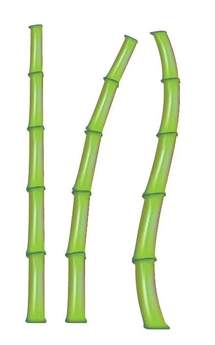 竹子 PNG免抠(440x705)