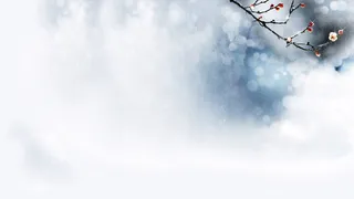 简约唯美浪漫鲜花背景