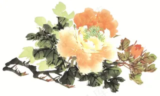 写意花卉欣赏美图素材