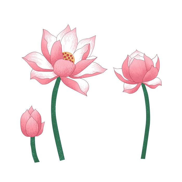 国潮中国风手绘荷花莲花荷叶莲藕植物花卉装饰插画PSD设计素材