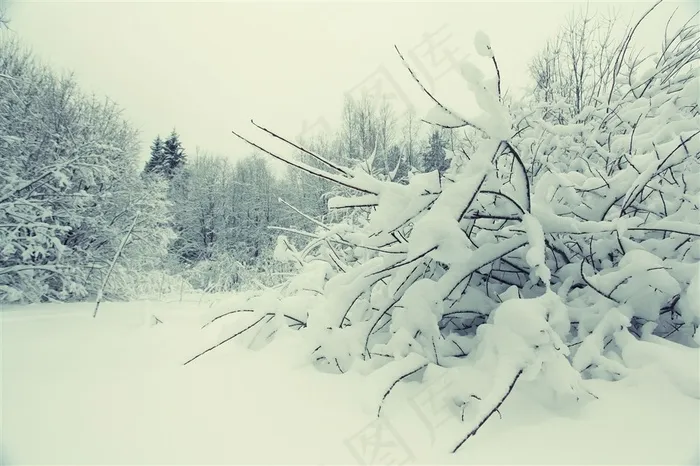 冬天的美丽景色