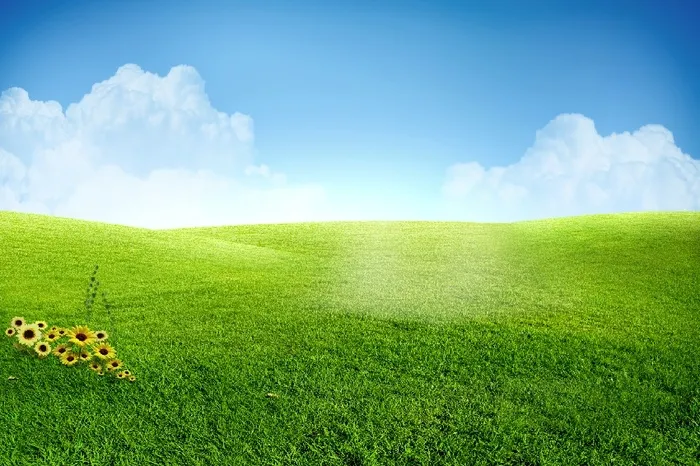 草原蓝天白云背景墙psd模版下载