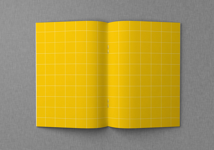 产品画册提案效果样机模板