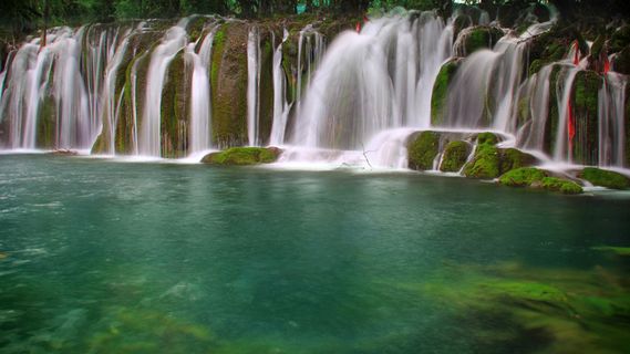 风景画 绿地风景 自然风景画 花树 
