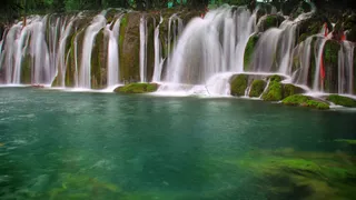 风景画 绿地风景 自然风景画 花树 